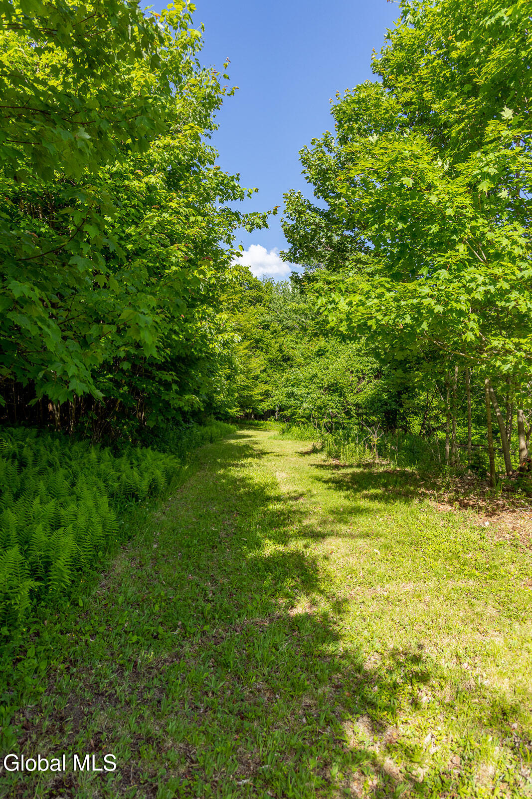 269 Federal City Road Broome, NY 12469 - Photo 34 of 43 20260613-7736