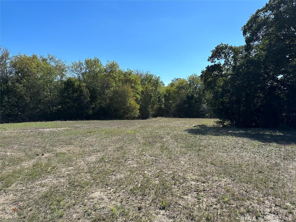 Expansive cleared acreage with mature tree lines bordering the property