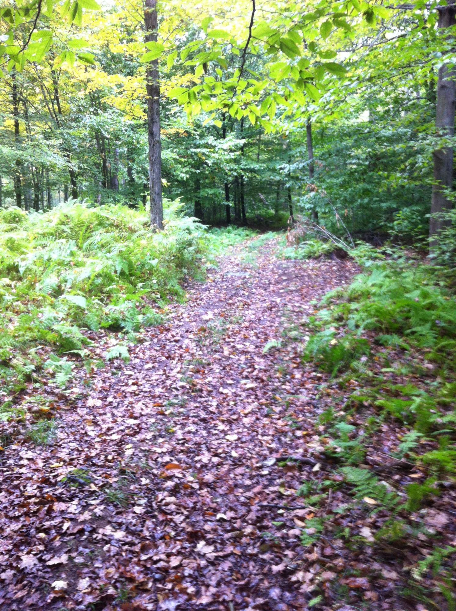 742 May Road Union Dale, PA 18470 - Photo 12 of 14 Trails in the woods