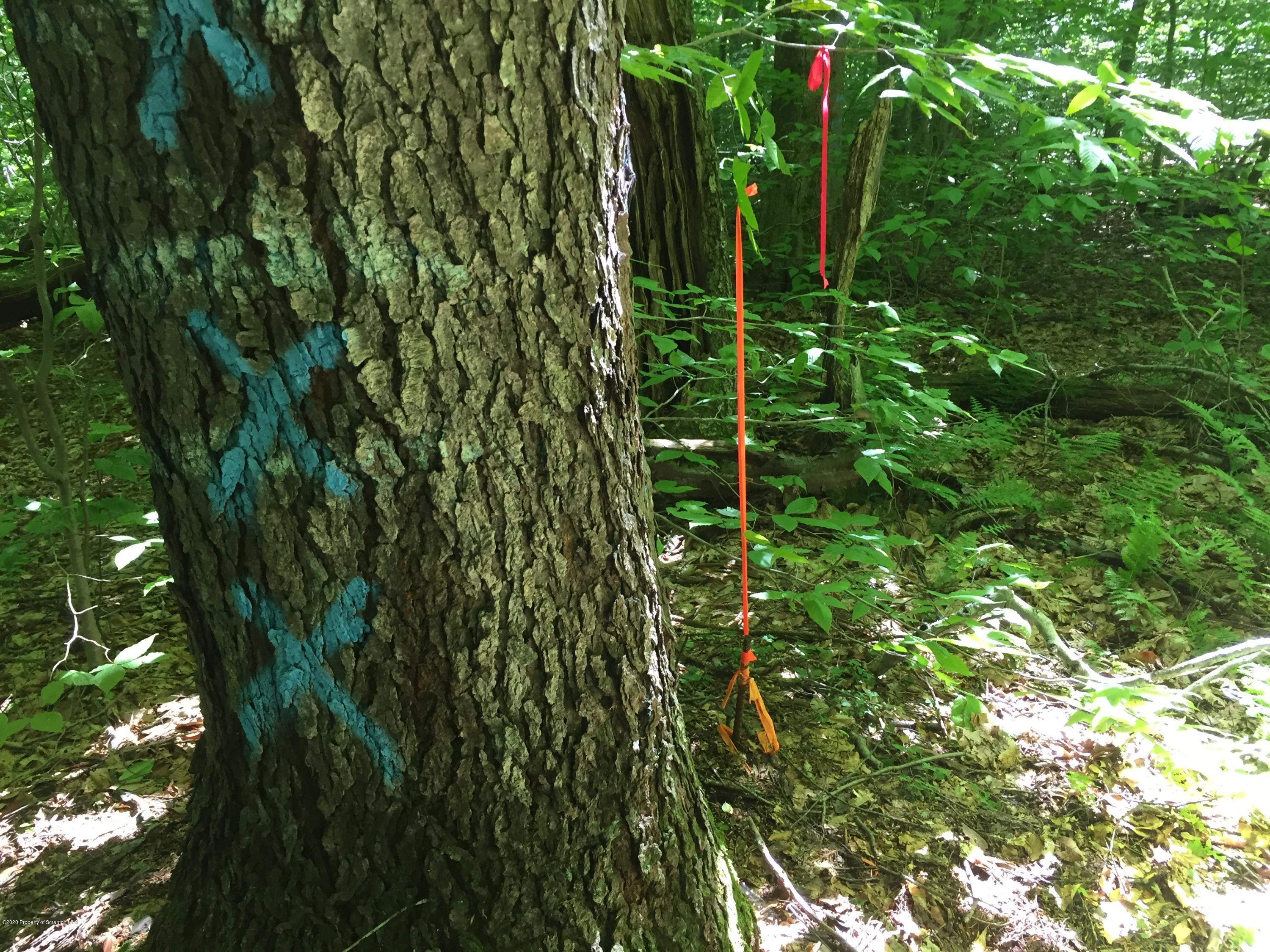 742 May Road Union Dale, PA 18470 - Photo 13 of 14 Back Survey Corner (1)