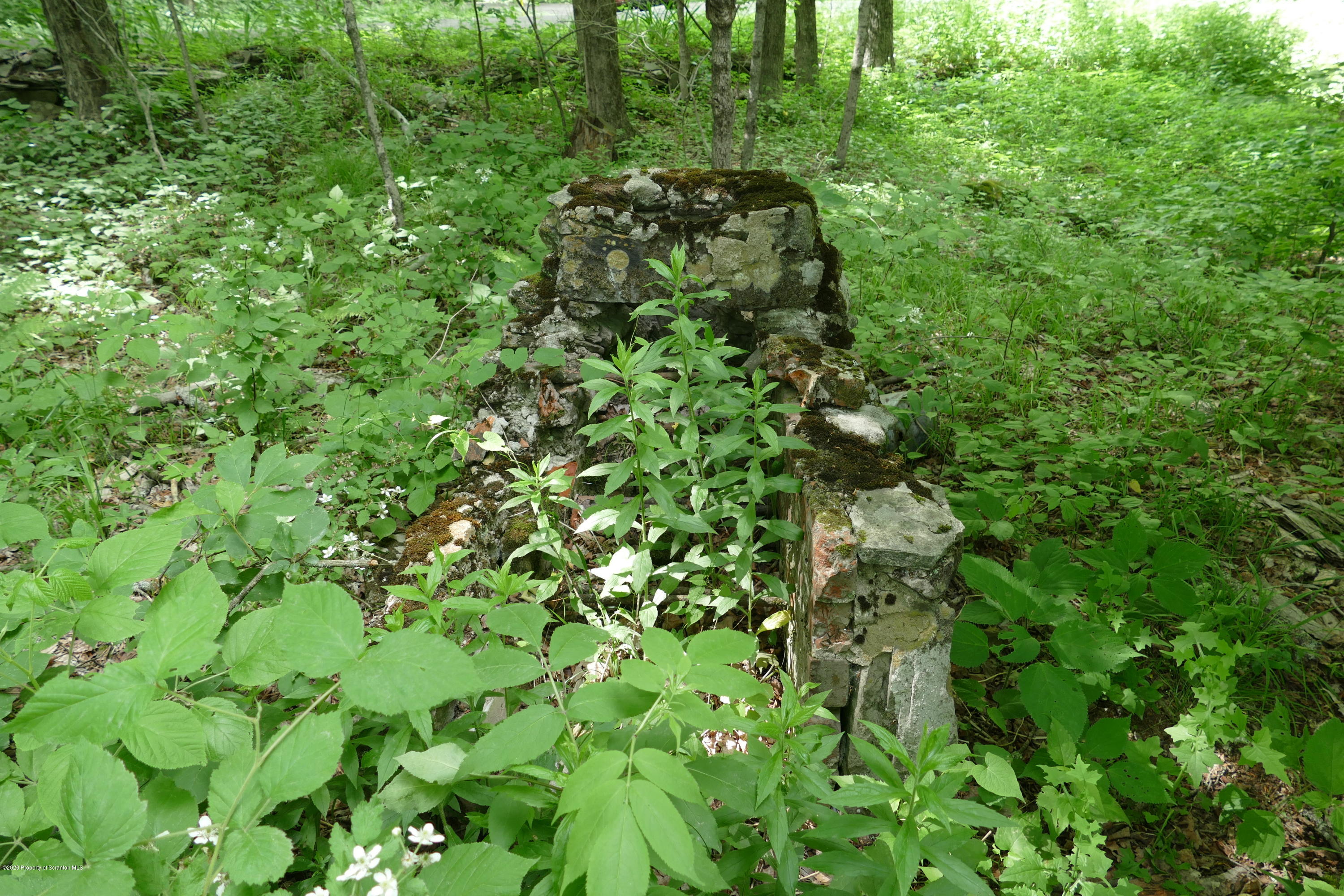 742 May Road Union Dale, PA 18470 - Photo 14 of 14 P1020727