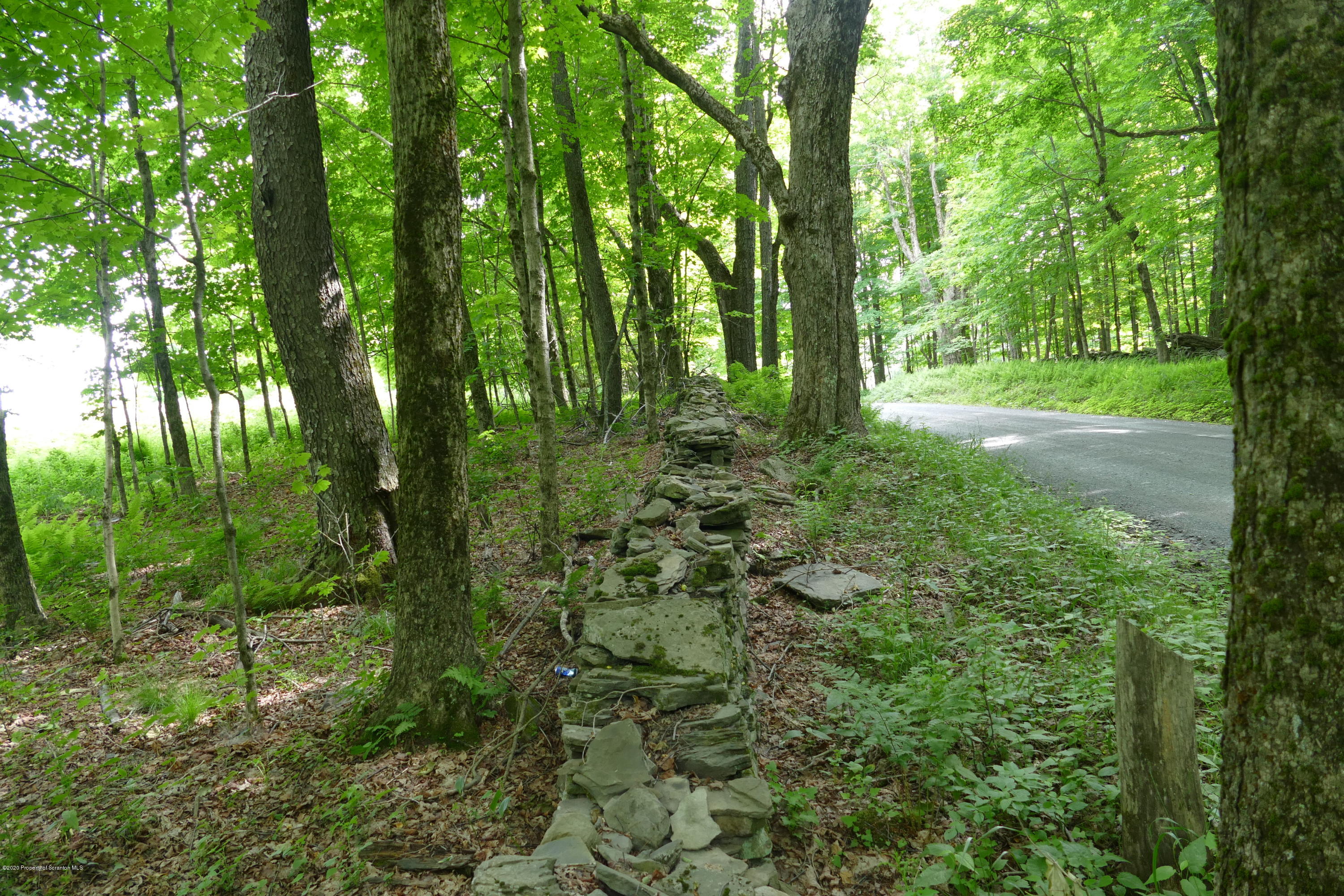 742 May Road Union Dale, PA 18470 - Photo 2 of 14 Woods lead to the Field
