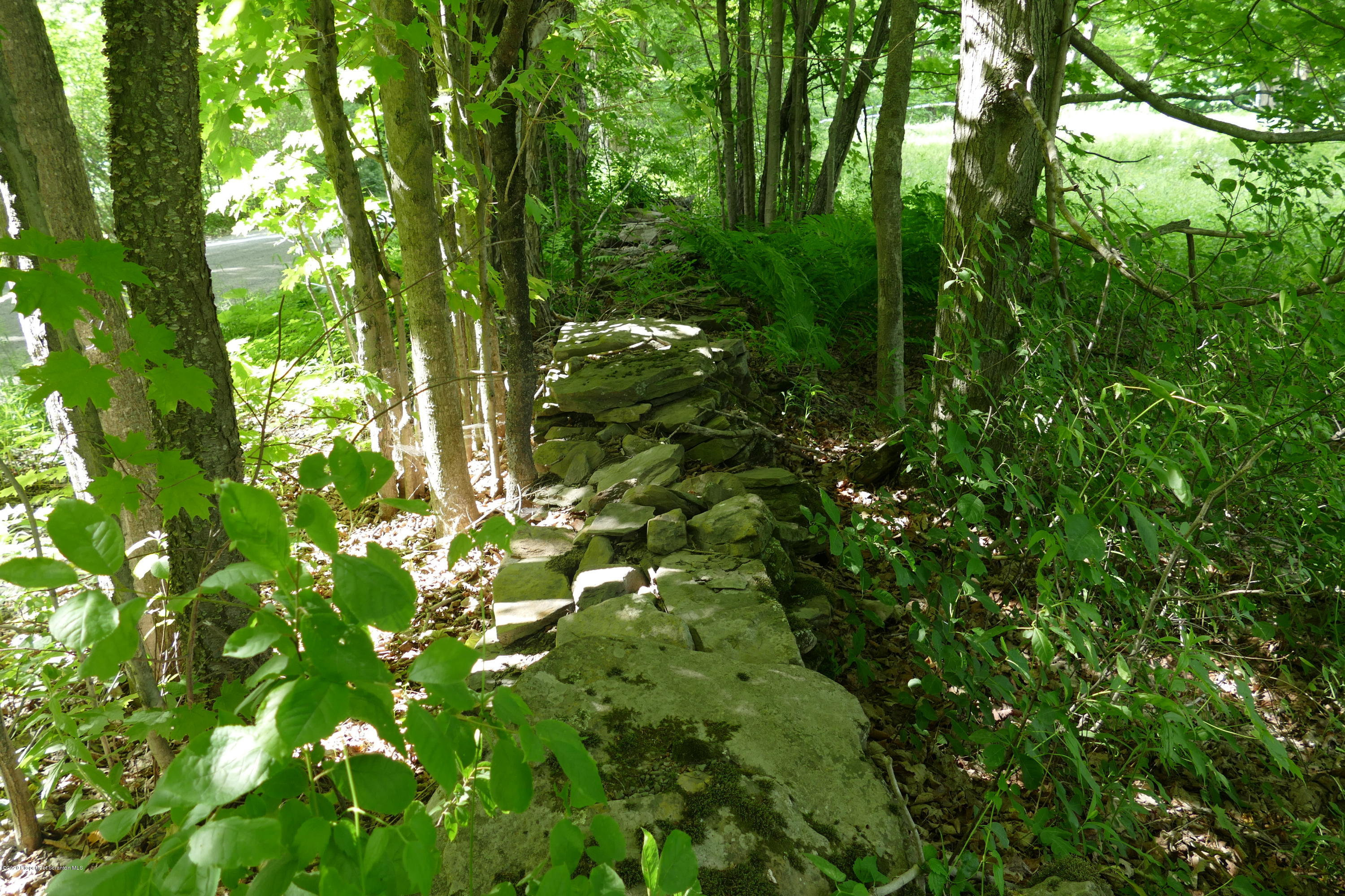742 May Road Union Dale, PA 18470 - Photo 3 of 14 Stone walls