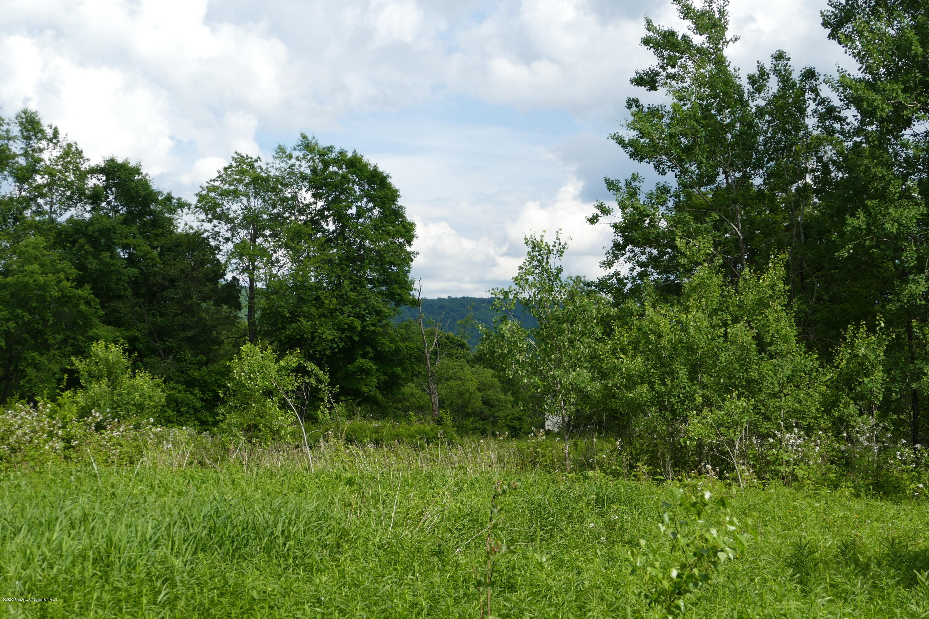 742 May Road Union Dale, PA 18470 - Photo 4 of 14 Mt. Views!