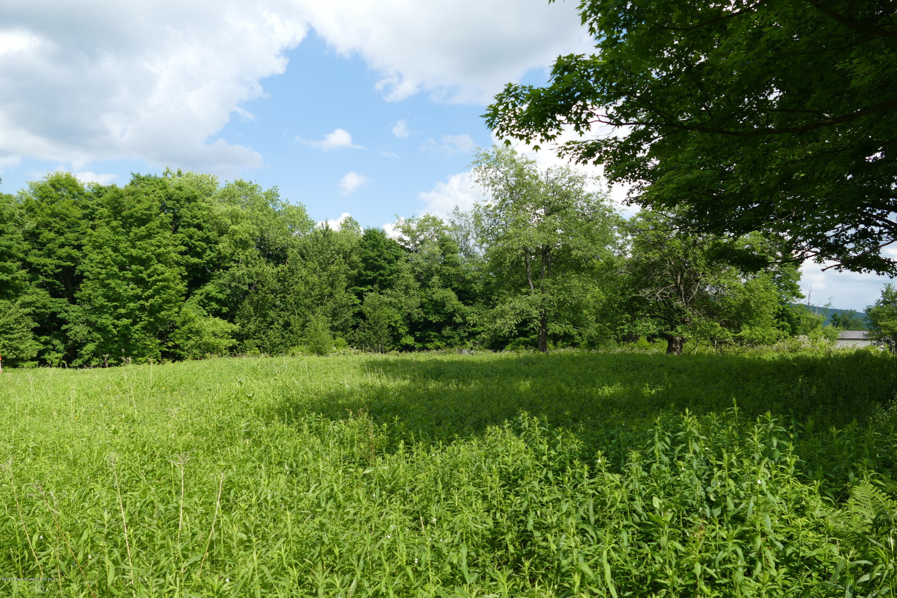 742 May Road Union Dale, PA 18470 - Photo 5 of 14 Great building sites