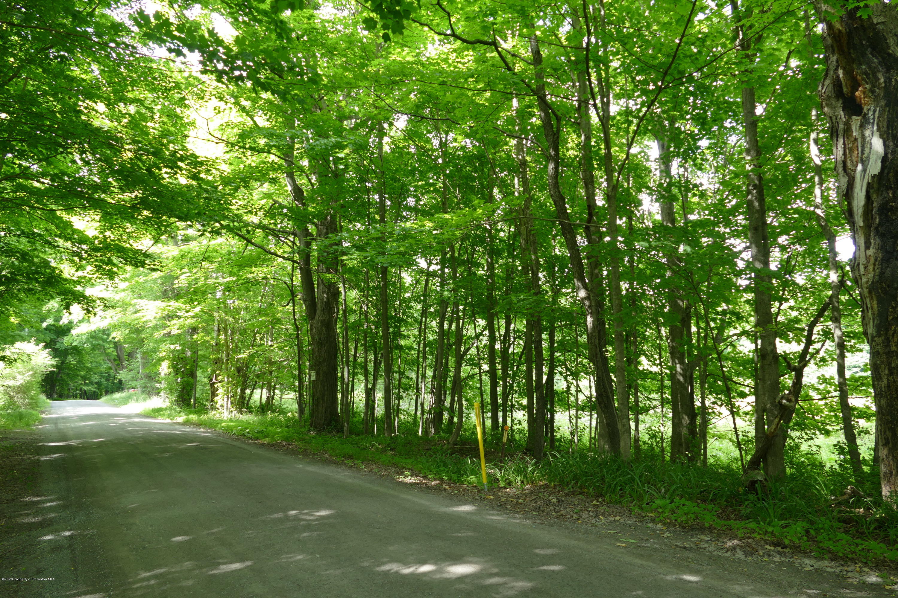 742 May Road Union Dale, PA 18470 - Photo 8 of 14 Maples line the road
