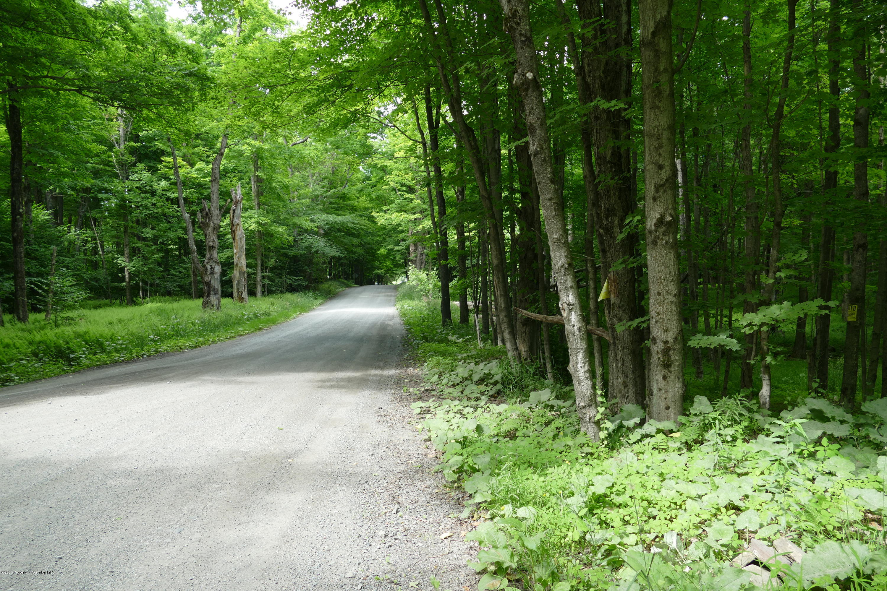 742 May Road Union Dale, PA 18470 - Photo 9 of 14 Frontage in the woods area