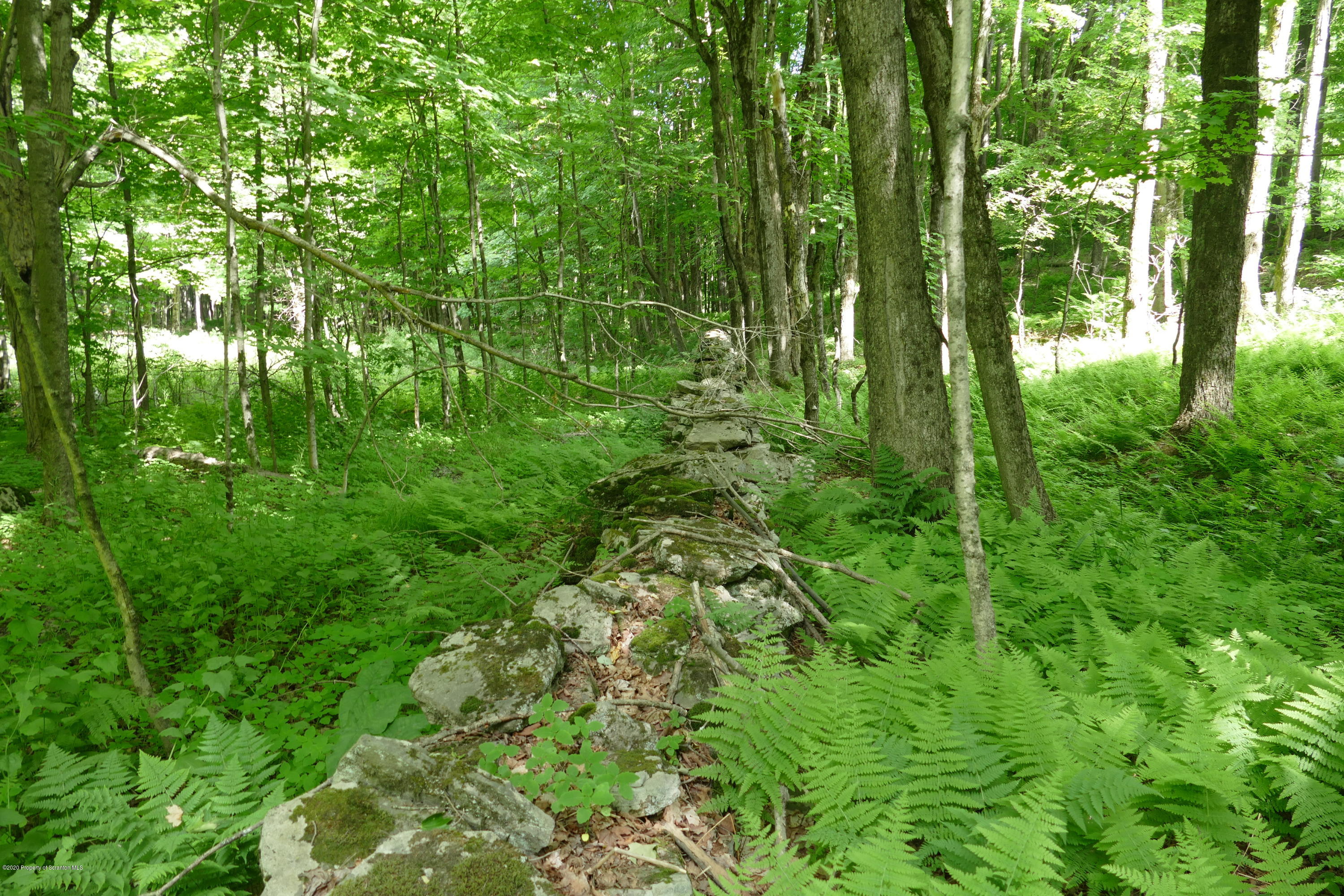742 May Road Union Dale, PA 18470 - Photo 10 of 14 Stone walls