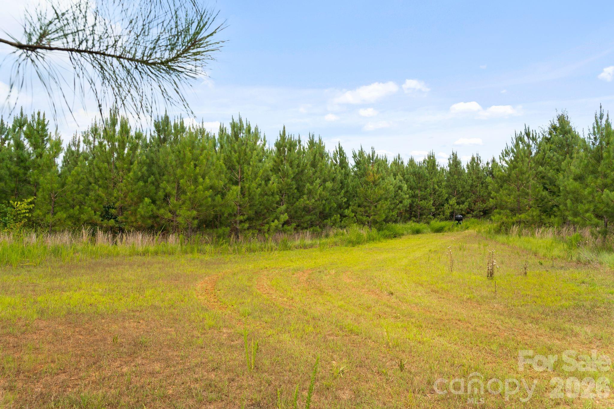 0 Blanton Road, Unit 2 Sharon, SC 29742 - Photo 9 of 47 Gallery Image 9