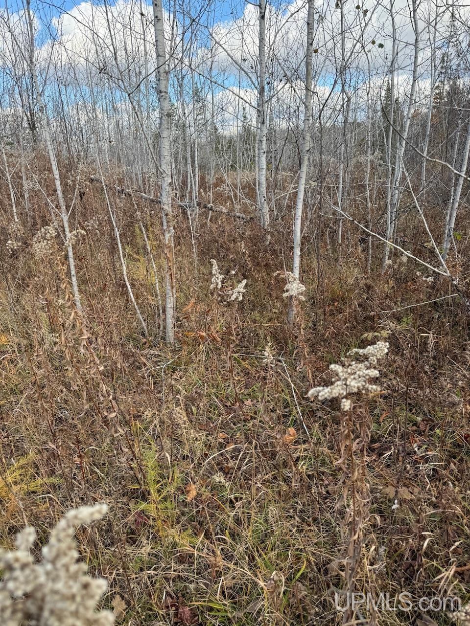 27.5 Rd 28 Acres Trail Gladstone, MI 49837 - Photo 17 of 24