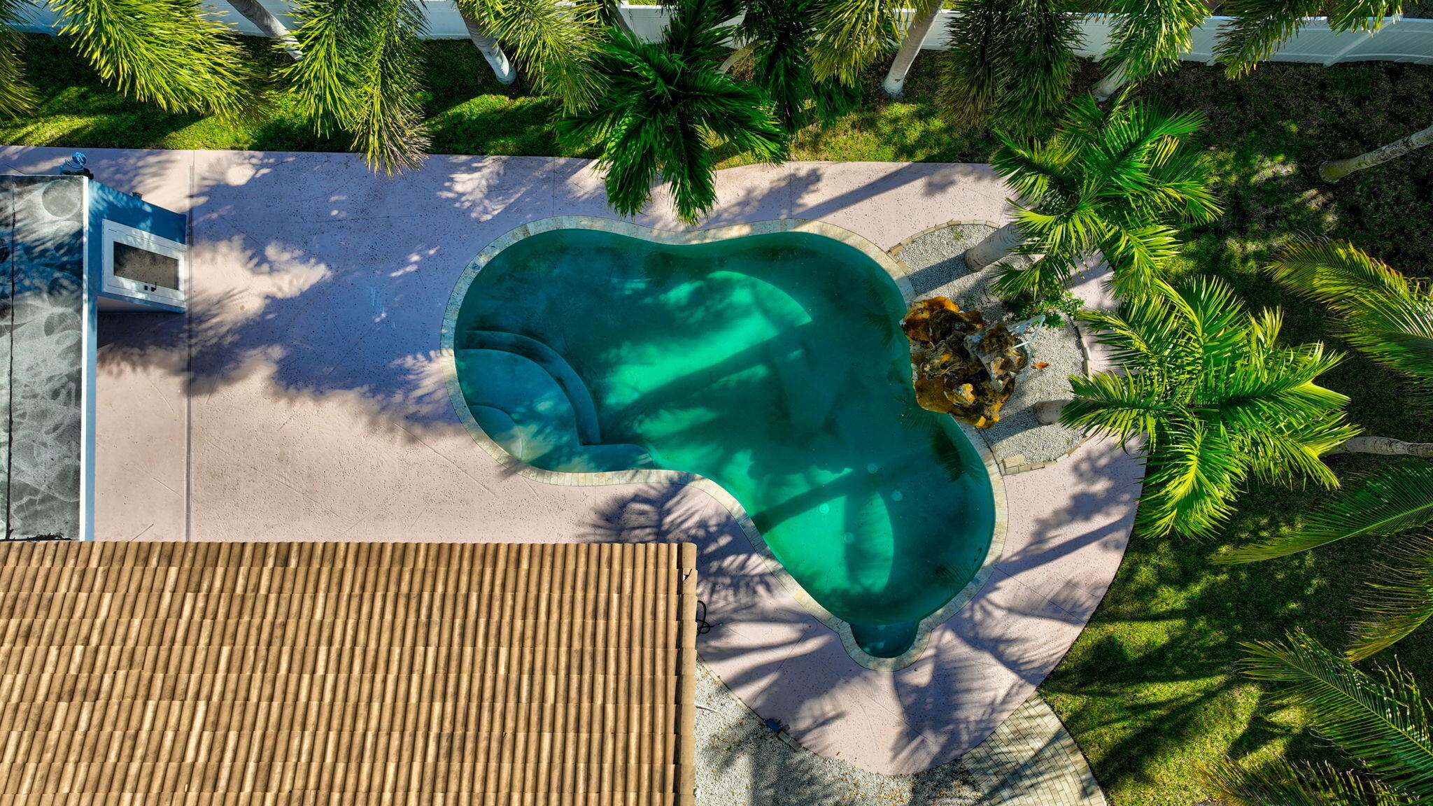 360 Southwest 2nd Street Boca Raton, FL 33432 - Photo 80 of 100 a view of a plant in a park