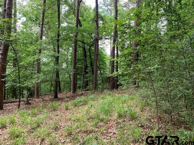 300-301 Misty Glen Holly Lake Ranch, TX 75765 - Photo 3 of 9 a view of outdoor space and green space