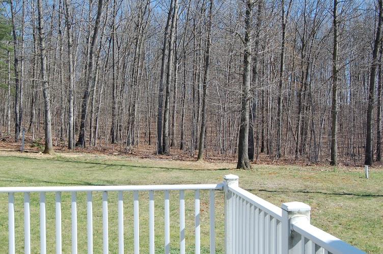 148 Back Road Shenandoah, VA 22849 - Photo 14 of 16 Gallery Image 14