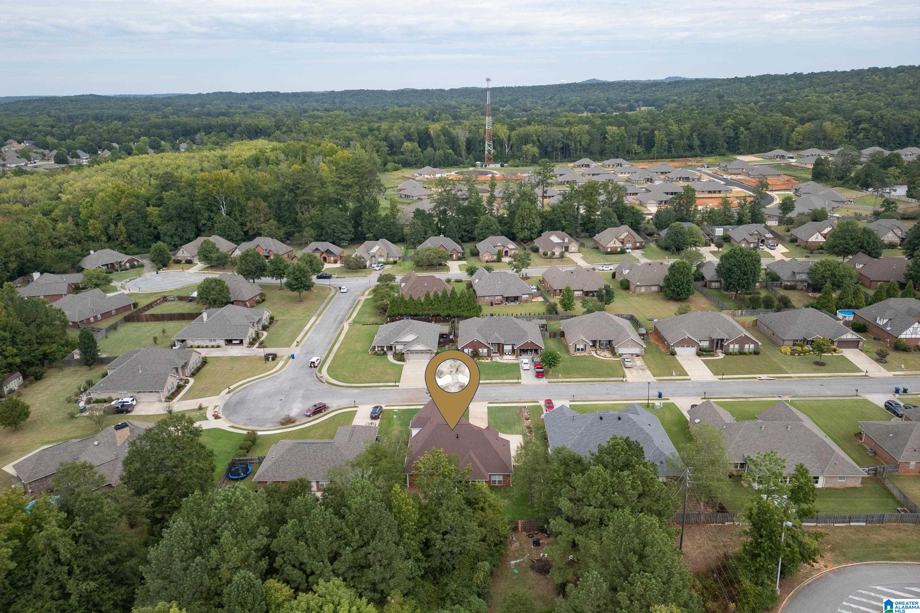 310 Tanglewood Circle Alabaster, AL 35007 - Photo 37 of 41
