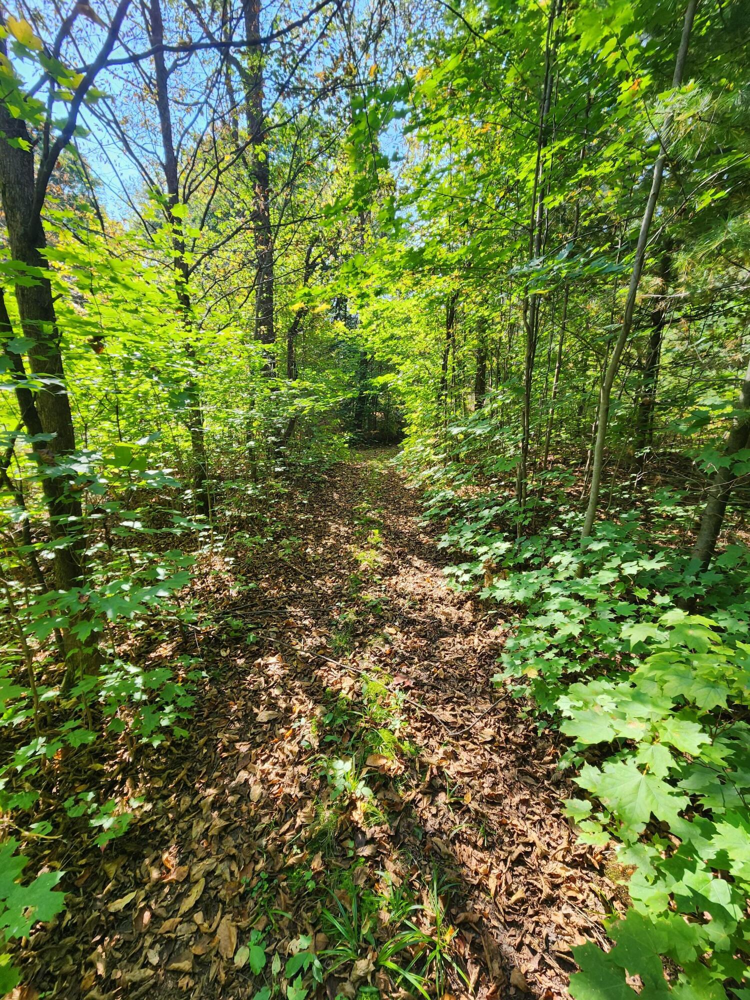 965 West 38 Road Boon, MI 49618 - Photo 44 of 53 20240916_114152