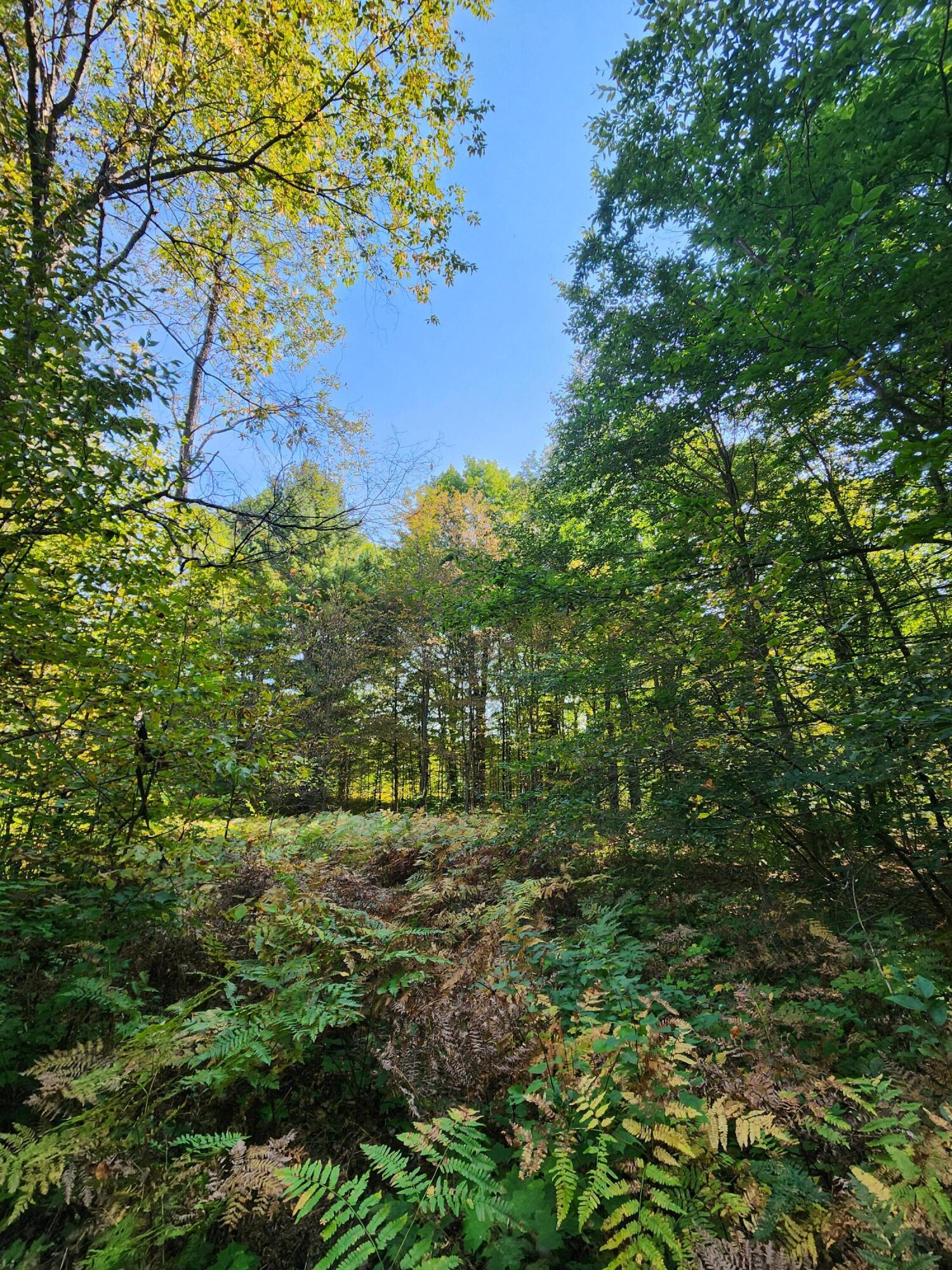 965 West 38 Road Boon, MI 49618 - Photo 45 of 53 20240916_114222