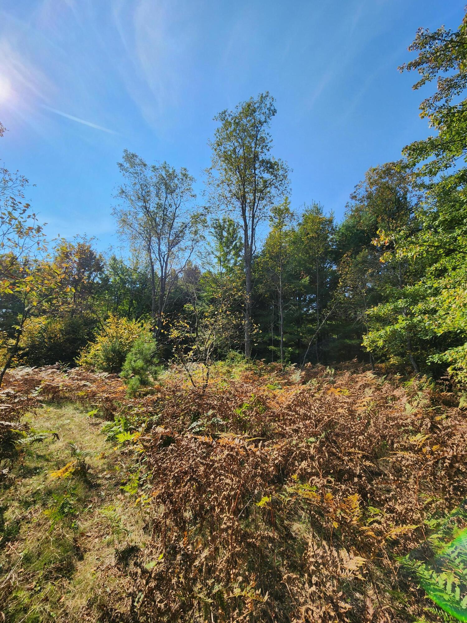 965 West 38 Road Boon, MI 49618 - Photo 46 of 53 20240916_114242