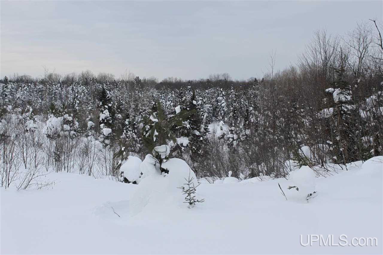 Tbd Emily Lake Road Toivola, MI 49965 - Photo 25 of 36 Gallery Image 25