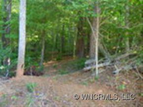 32 Moonshine Ridge Bryson City, NC 28713 - Photo 12 of 12 Gallery Image 12