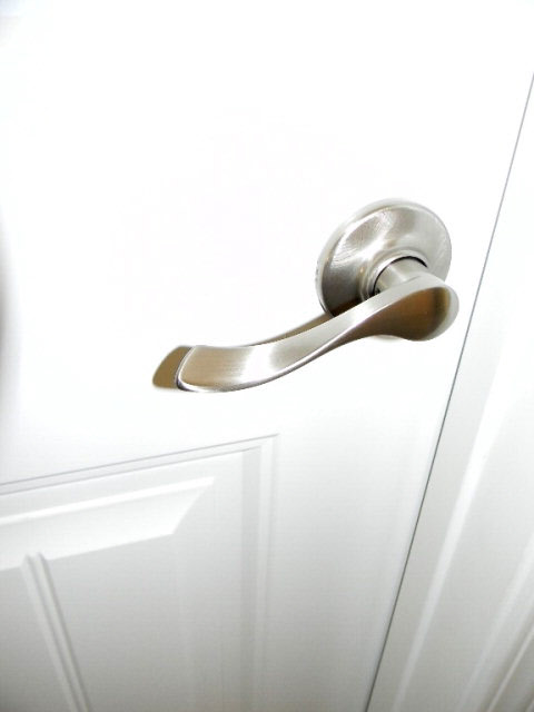 147 Hawthorne Circle Fairhope, AL 36532 - Photo 23 of 38 Lever Door Handles