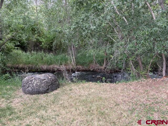 405 Southeast 2nd Street Cedaredge, CO 81413 - Photo 8 of 28