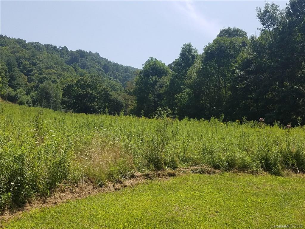 1055 South Fork Road Marshall, NC 28753 - Photo 19 of 22 Gallery Image 19