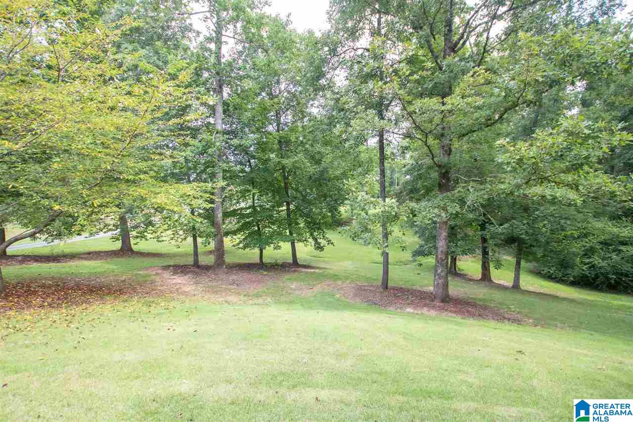 2454 Red Hill School Road Hayden, AL 35079 - Photo 46 of 47