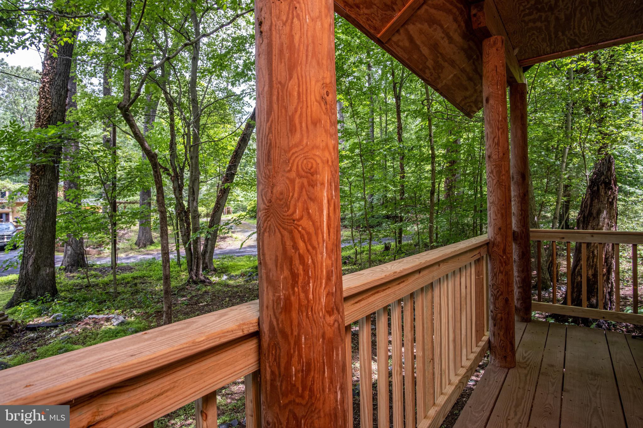 11870 Mente Road Manassas, VA 20112 - Photo 33 of 47 Decking at Studio Entrance