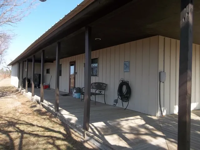 a view of a dry yard with large trees