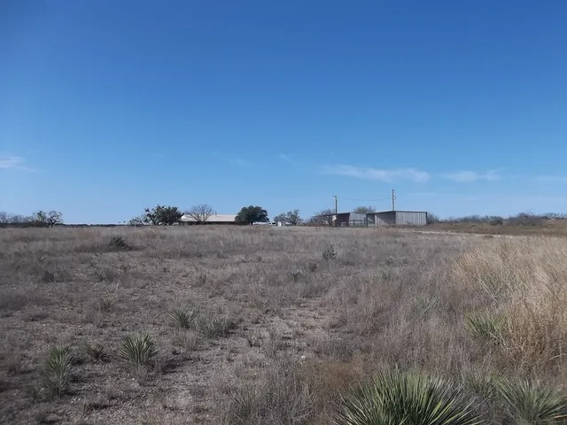 a view of a dry field with trees in background