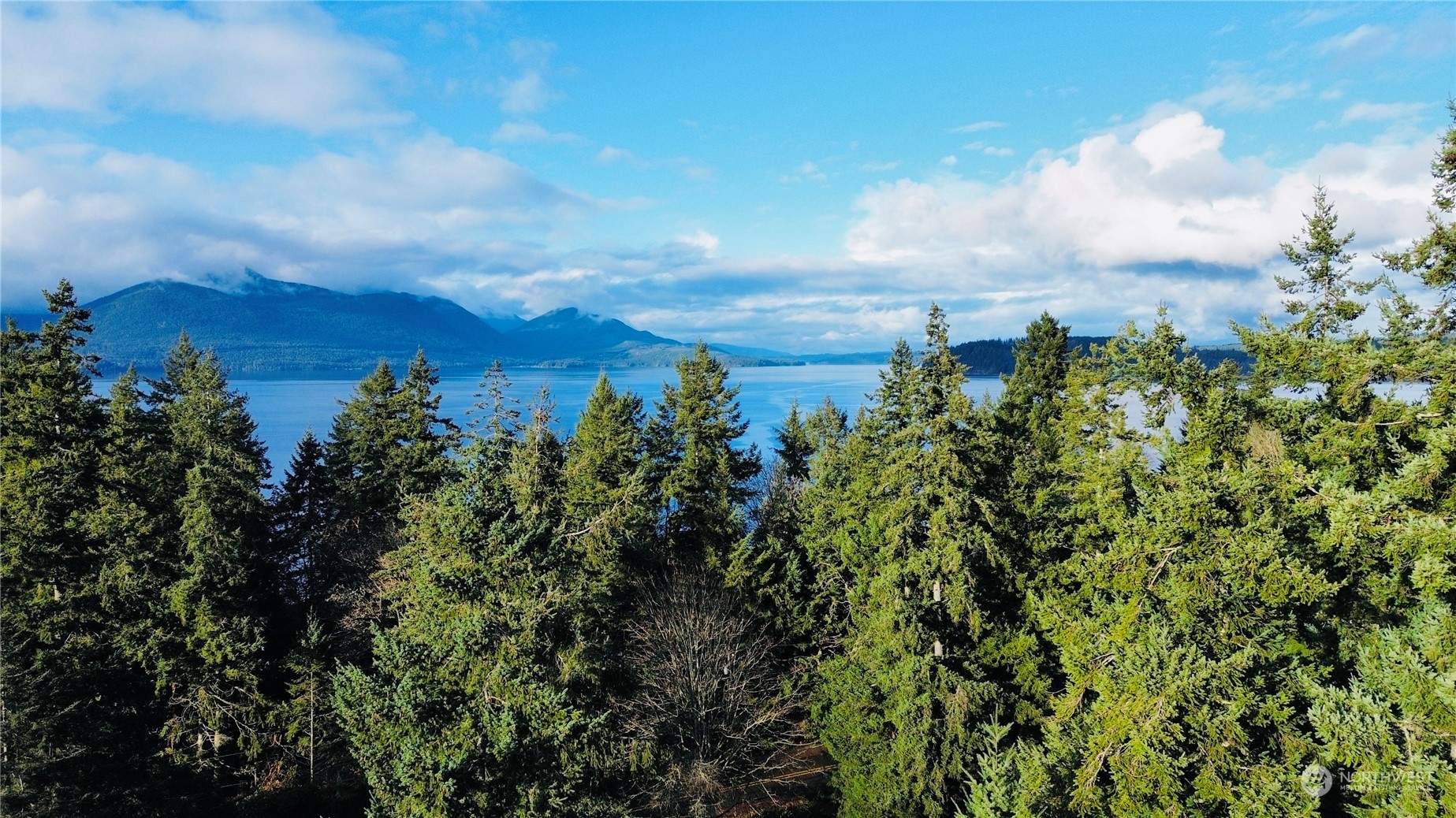 9947 Misery Point Road Northwest Seabeck, WA 98380 - Photo 15 of 26 Gallery Image 15