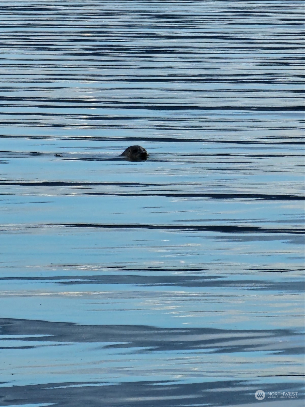9947 Misery Point Road Northwest Seabeck, WA 98380 - Photo 17 of 26 Gallery Image 17