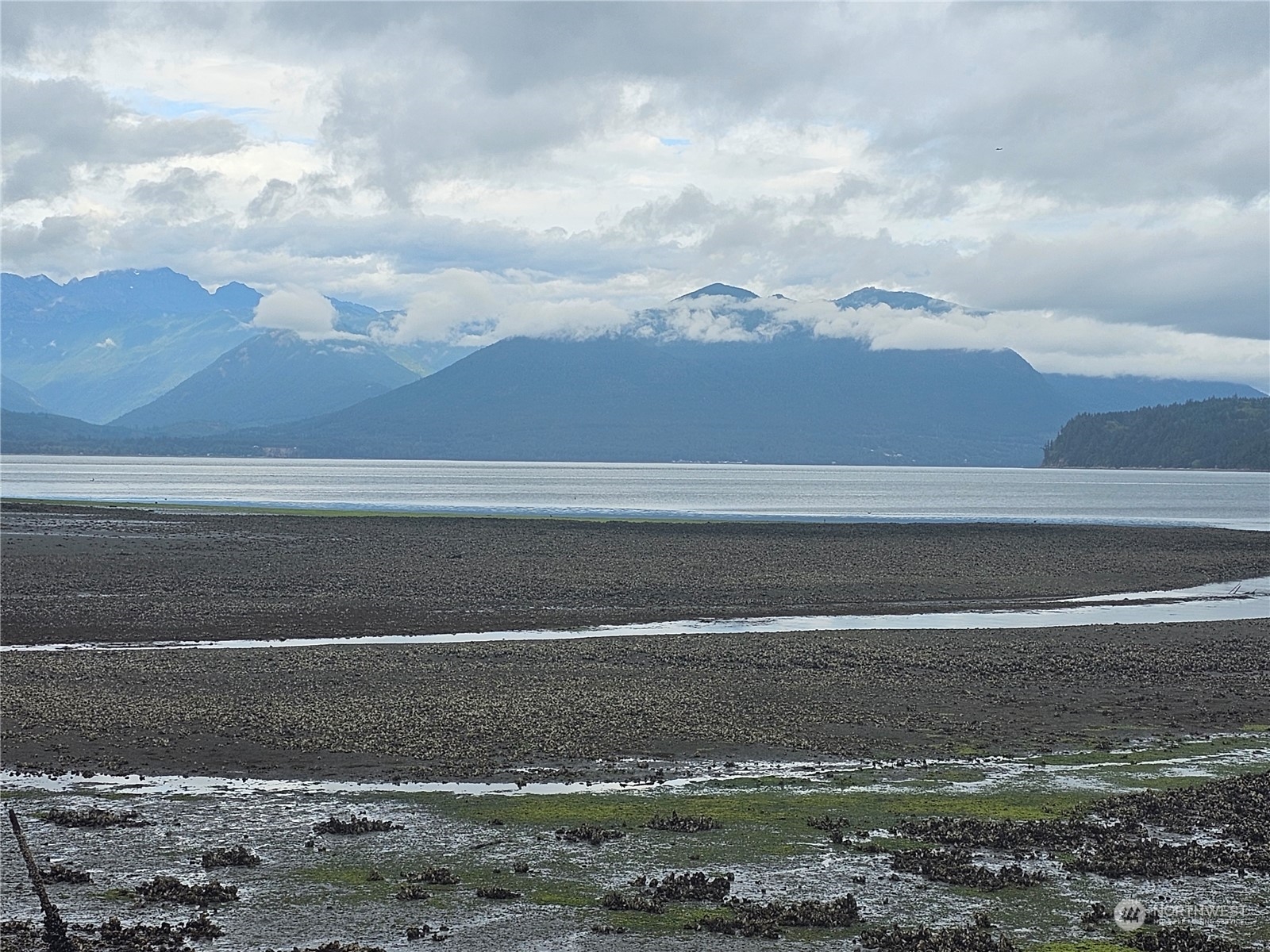9947 Misery Point Road Northwest Seabeck, WA 98380 - Photo 23 of 26 Gallery Image 23