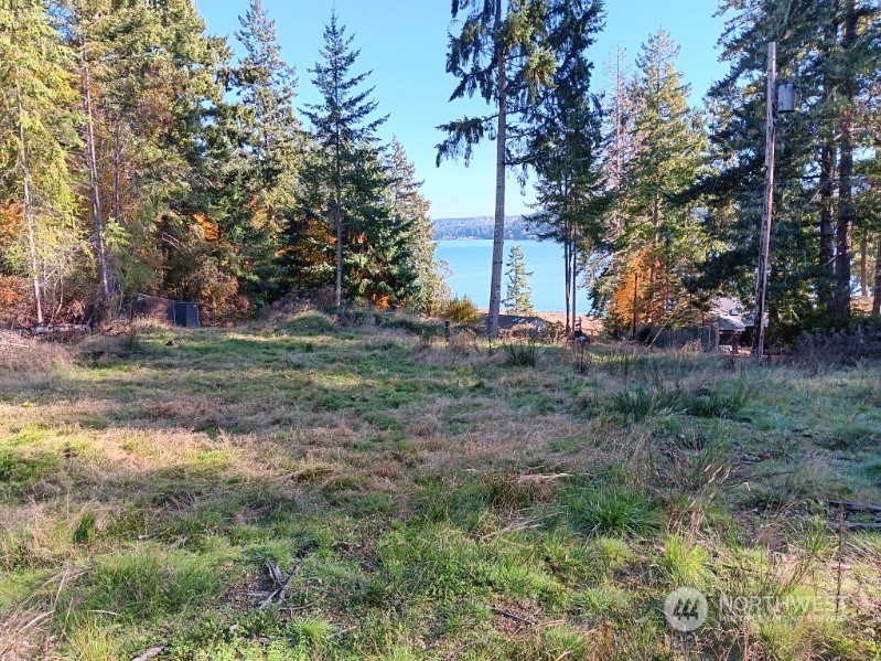 9947 Misery Point Road Northwest Seabeck, WA 98380 - Photo 3 of 26 Gallery Image 3