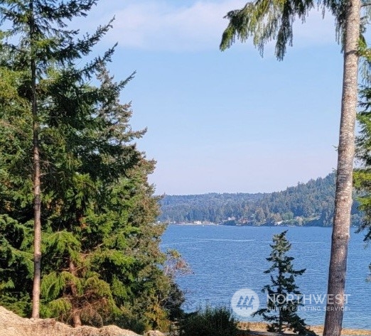 9947 Misery Point Road Northwest Seabeck, WA 98380 - Photo 4 of 26 Gallery Image 4