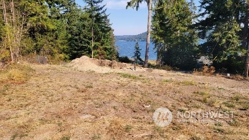 9947 Misery Point Road Northwest Seabeck, WA 98380 - Photo 5 of 26 Gallery Image 5