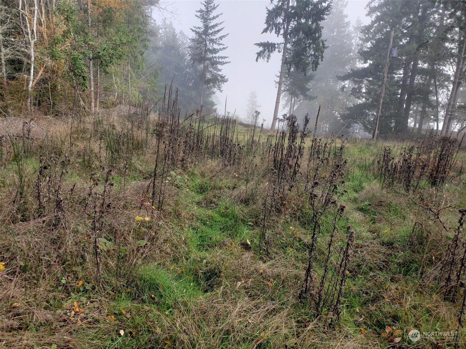9947 Misery Point Road Northwest Seabeck, WA 98380 - Photo 7 of 26 Gallery Image 7