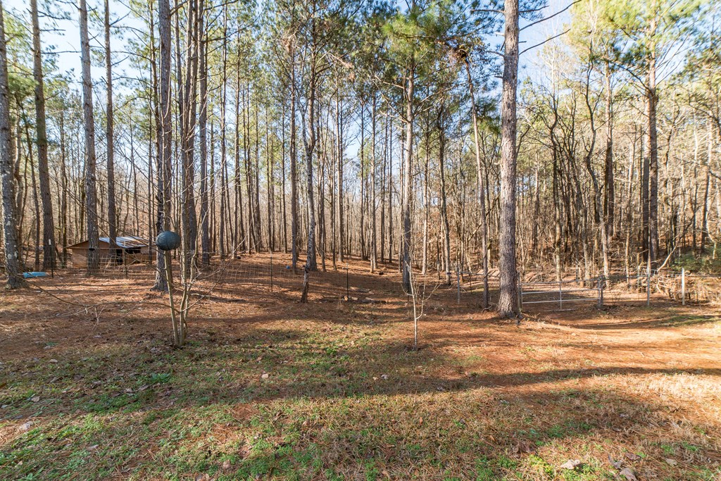 3063 Johnson Mill Road Hamilton, GA 31811 - Photo 10 of 33 Gallery Image 10