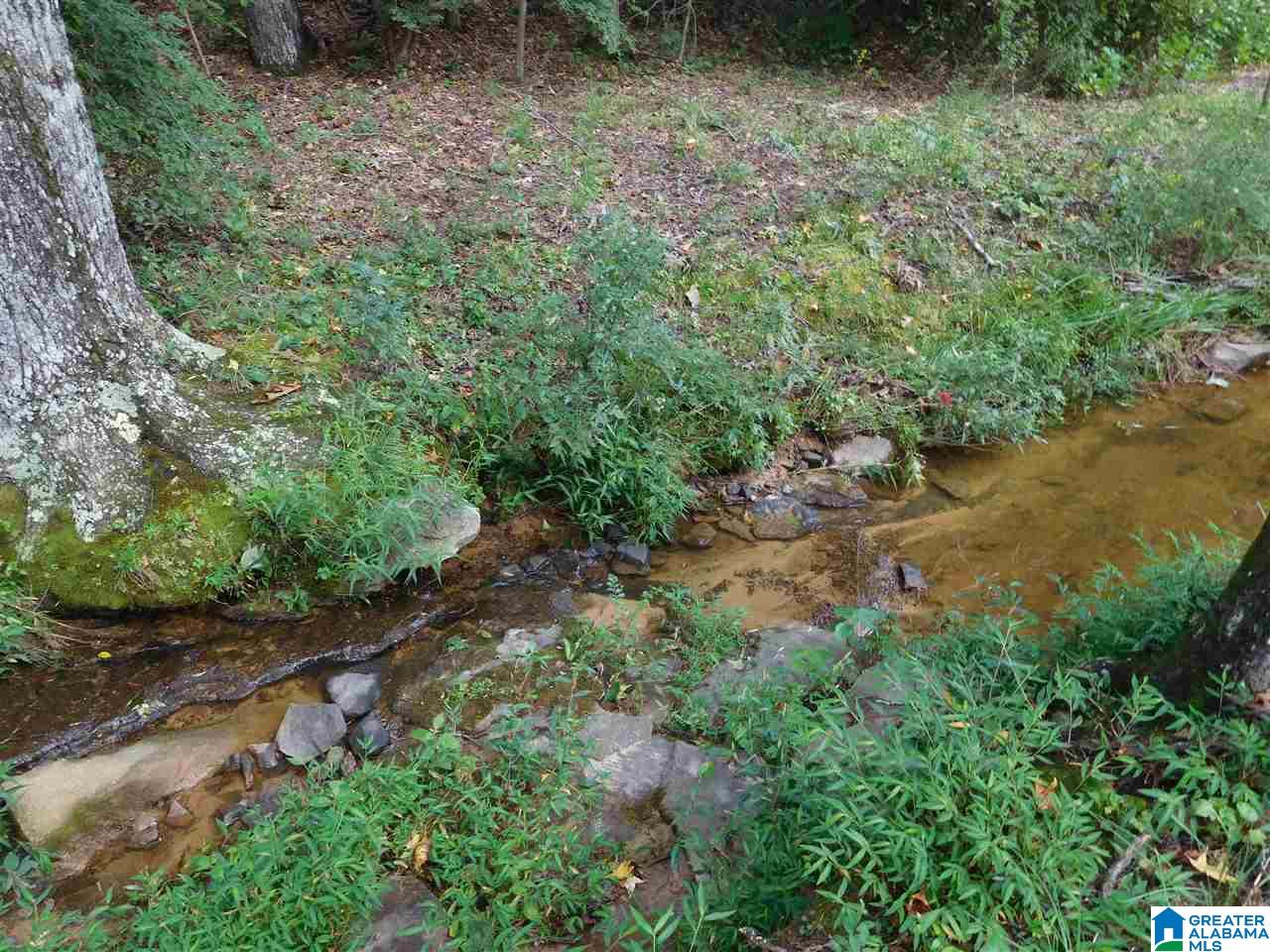 75 Killough Drive Springville, AL 35146 - Photo 34 of 37