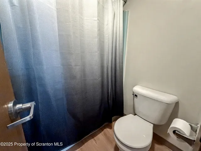 a white toilet sitting next to a shower curtain