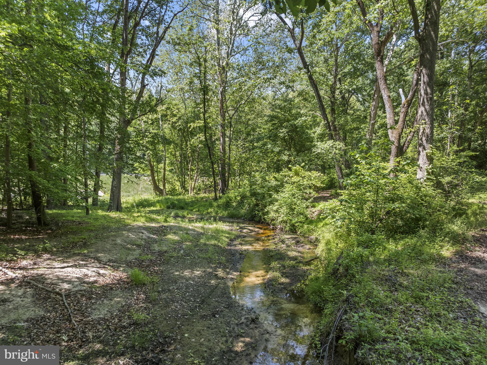 15690 Nelson Perrie Road Brandywine, MD 20613 - Photo 17 of 19 a big yard with lots of green space and trees