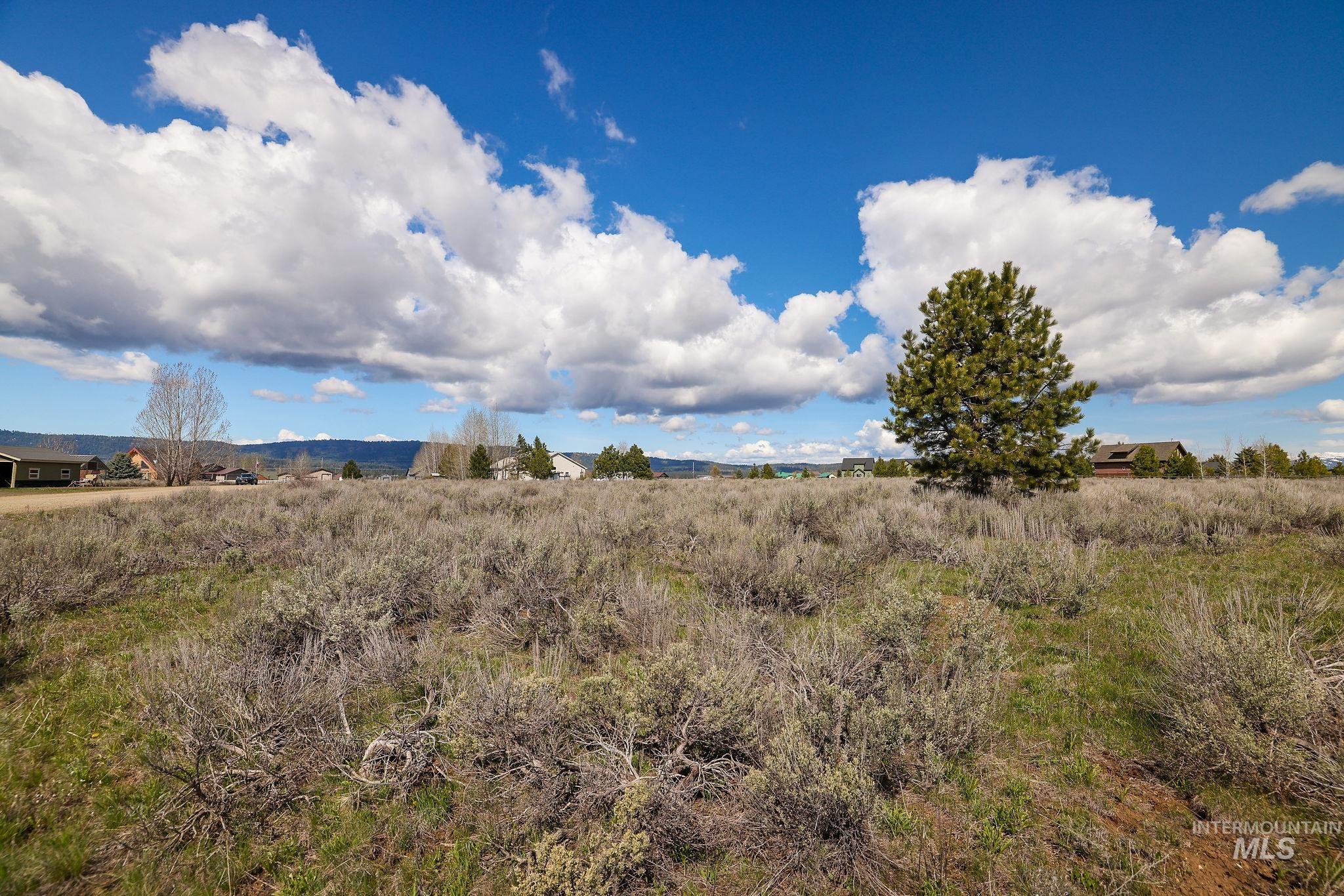 Lot 18 Williams Road McCall, ID 83638 - Photo 11 of 32