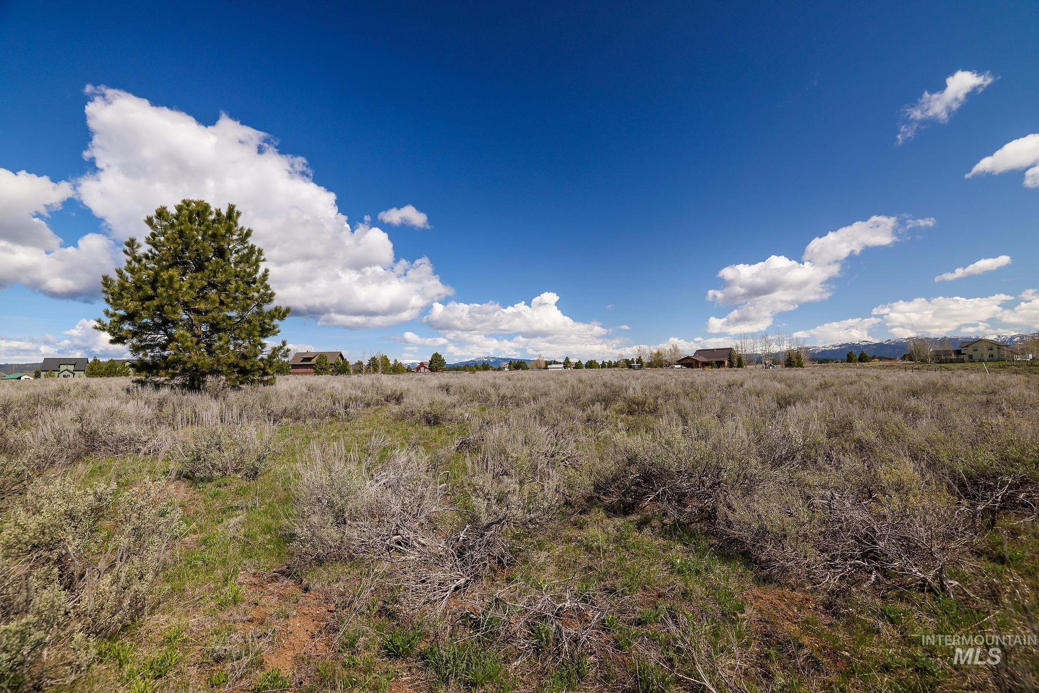Lot 18 Williams Road McCall, ID 83638 - Photo 12 of 32