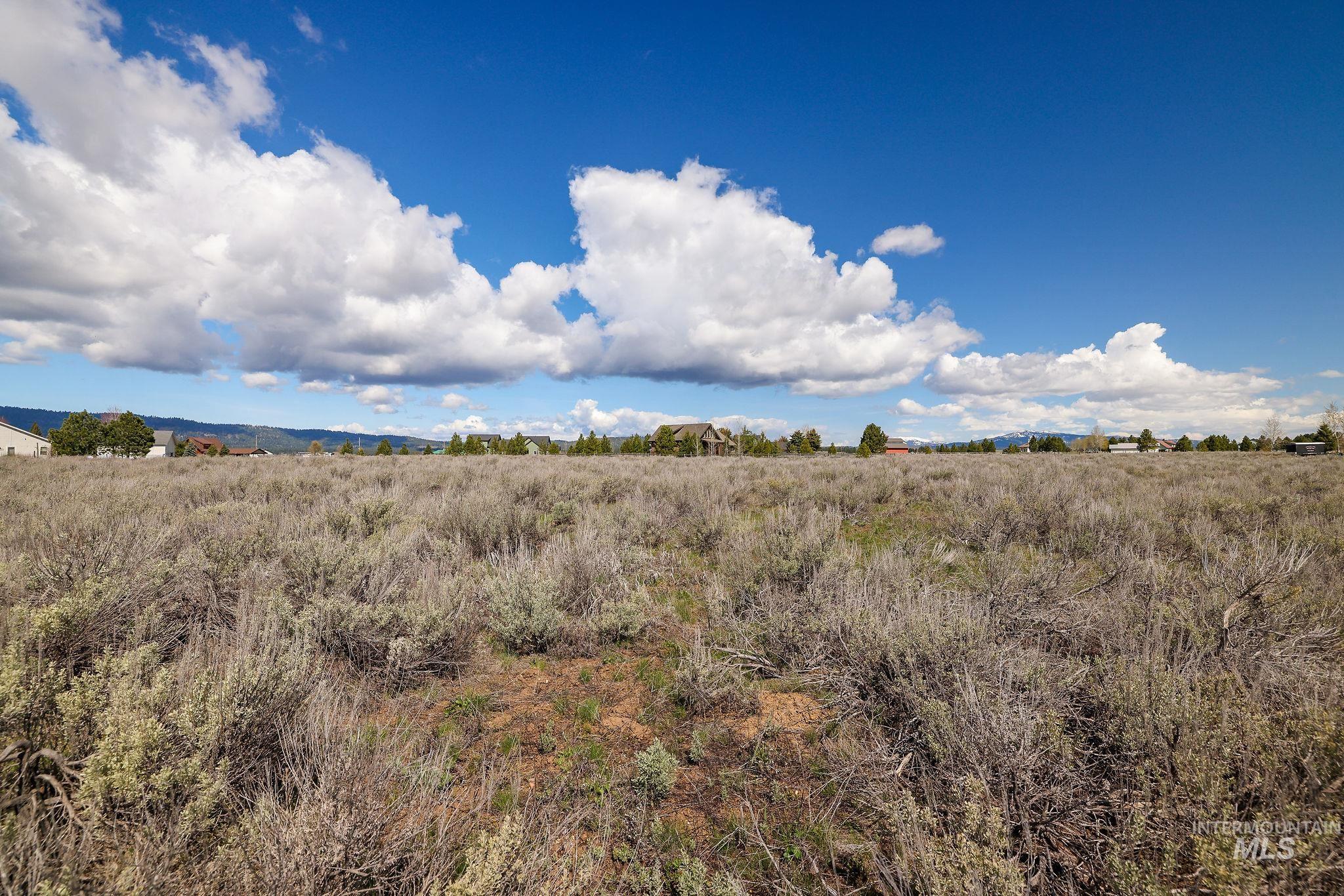 Lot 18 Williams Road McCall, ID 83638 - Photo 13 of 32