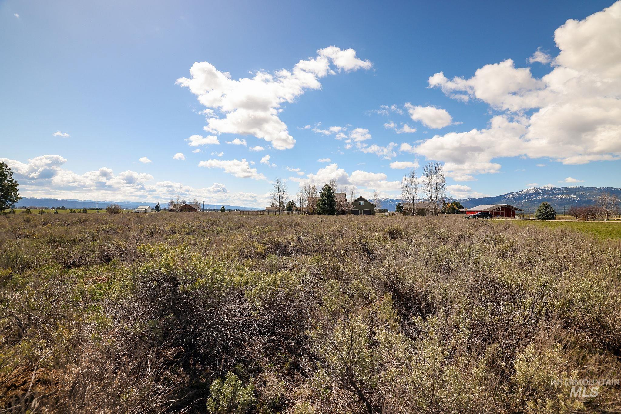 Lot 18 Williams Road McCall, ID 83638 - Photo 18 of 32