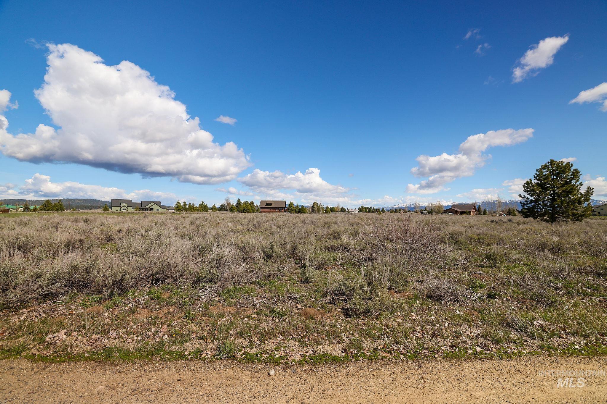 Lot 18 Williams Road McCall, ID 83638 - Photo 8 of 32