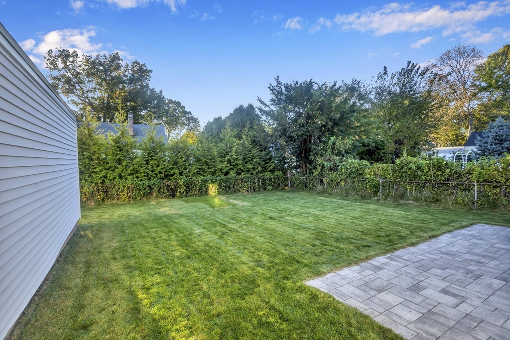 154 Ellsworth Avenue Springfield, MA 01118 - Photo 5 of 22 a view of a yard with an tree