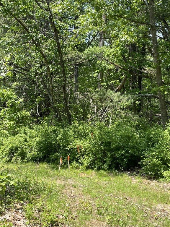 237 Chestnut Hill Road Millville, MA 01529 - Photo 2 of 6 Gallery Image 2