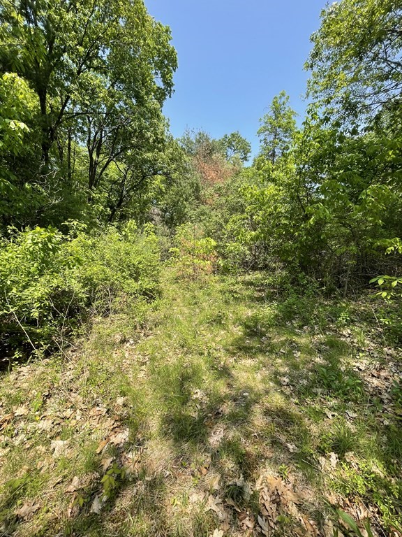 237 Chestnut Hill Road Millville, MA 01529 - Photo 6 of 6 Gallery Image 6