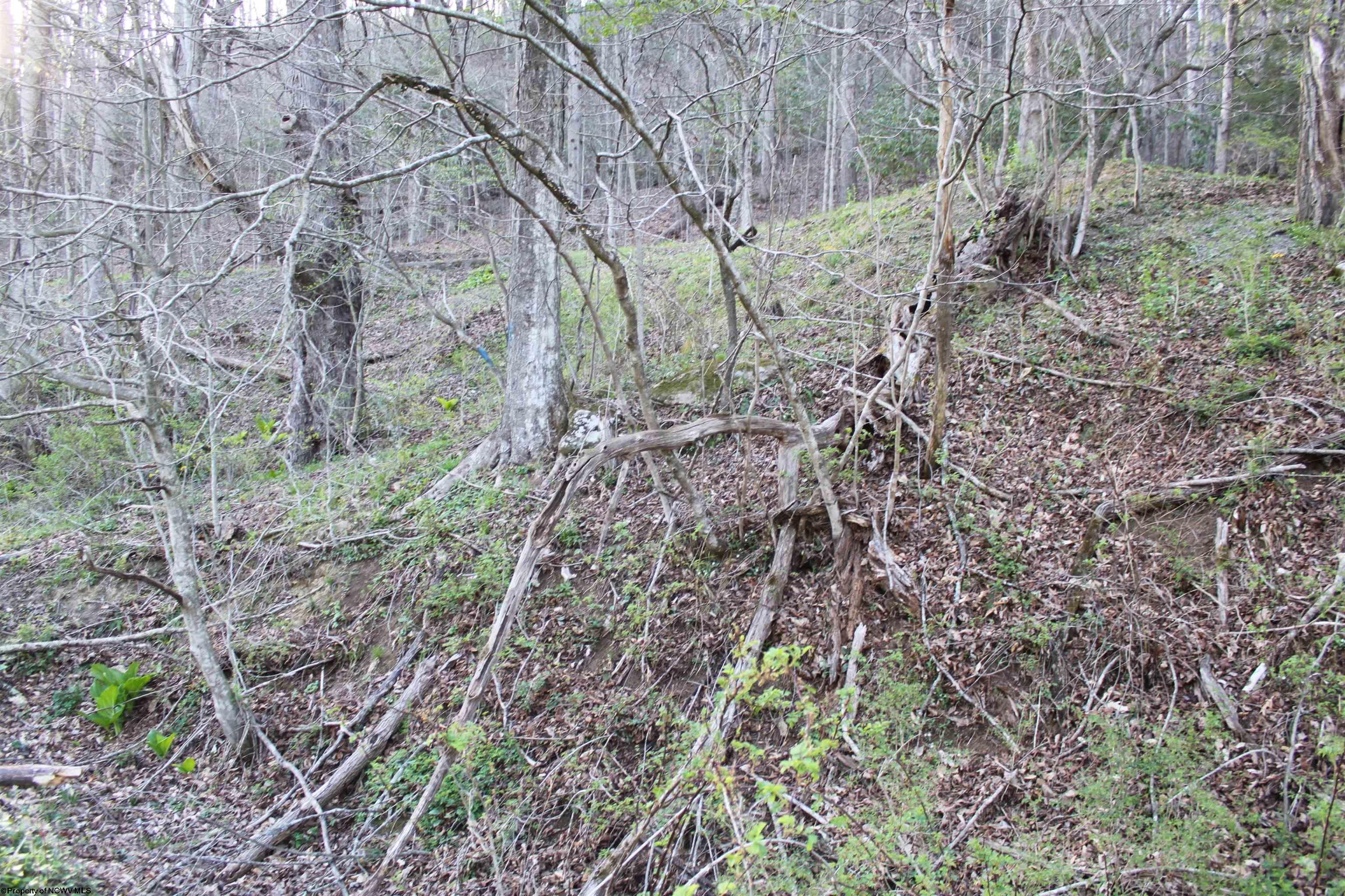 1625 Gauley River Road Webster Springs, WV 26288 - Photo 19 of 23 Gallery Image 19